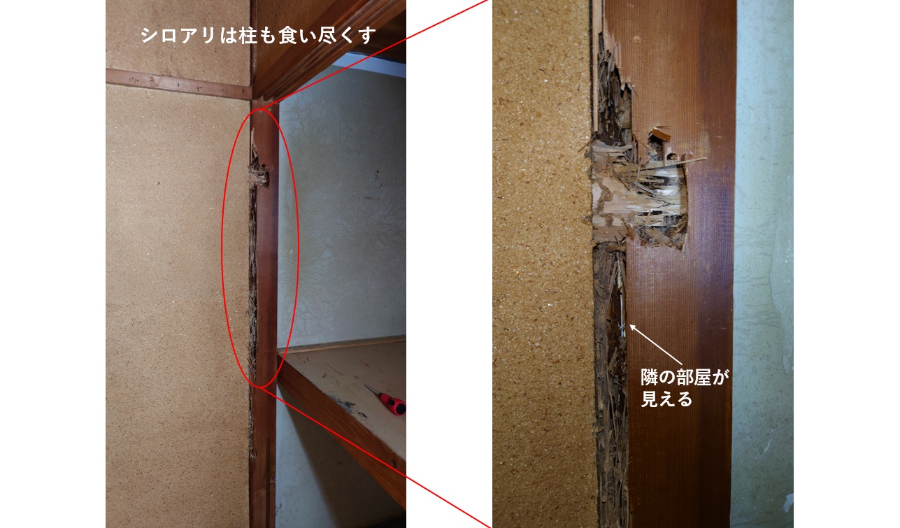 松原市にある空き家を相続した人へ。空き家は管理しないと売却で大損する理由