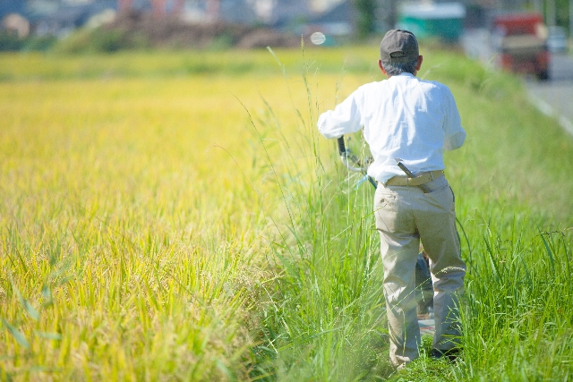 松原市内の農地を相続した方へ。土地活用と売却、どちらが最善の選択か？